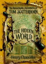 Book Cover for The Hidden World: The Remarkable Adventures of Tom Scatterhorn by Henry Chancellor