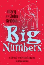 Book Cover for Big Numbers by John Gribbin, Mary Gribbin