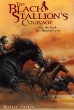 Book Cover for The Black Stallion's Courage by Walter Farley