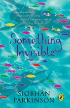 Book Cover for Something Invisible by Siobhan Parkinson