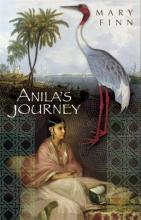 Book Cover for Anila's Journey by Mary Finn