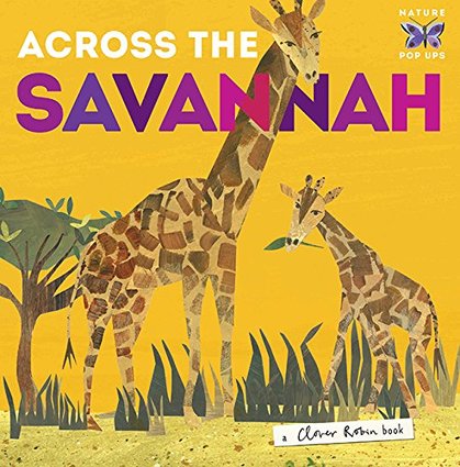 Across the Savannah