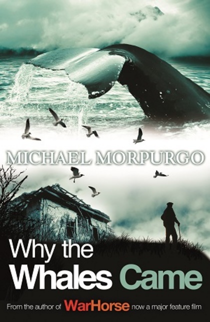 Why The Whales Came