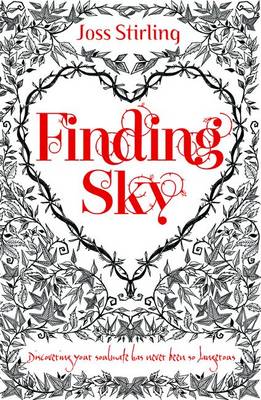 Finding Sky