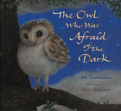 The Owl Who Was Afraid Of The Dark Picture Book