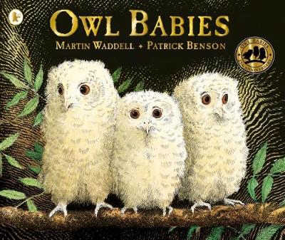 Cover for Owl Babies by Martin Waddell