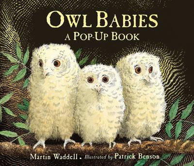 Owl Babies - Pop-Up