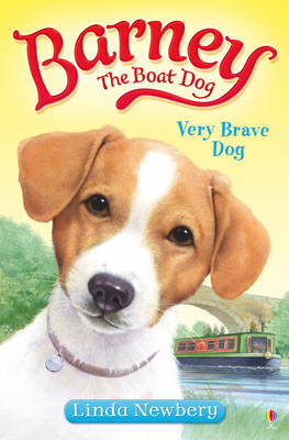 Barney the Boat Dog 1: Very Brave Dog