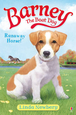 Barney the Boat Dog 2: Runaway Horse!