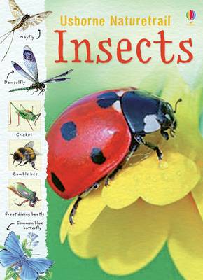 Insects