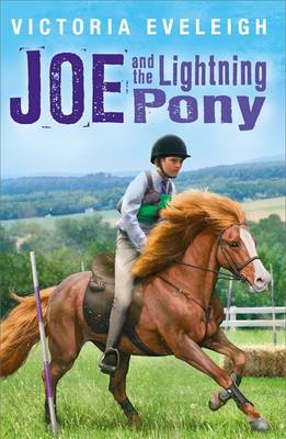 Joe and the Lightning Pony A Boy and His Horses