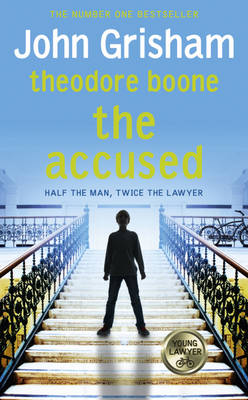 Theodore Boone 3: the Accused