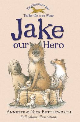 Jake Our Hero By Annette Butterworth (9781846471094/Paperback) |  Lovereading4Kids