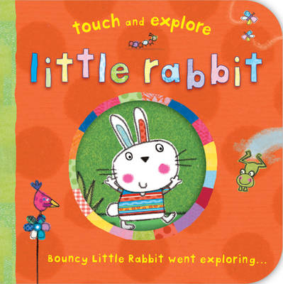 Touch and Explore: Little Rabbit