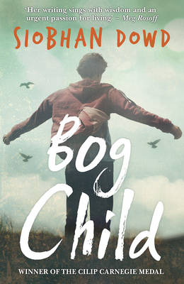 Cover for Bog Child by Siobhan Dowd