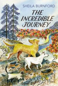 Book Cover for The Incredible Journey by Sheila Burnford