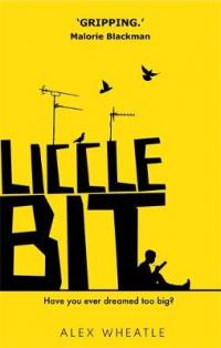 Book Cover for Liccle Bit by Alex Wheatle