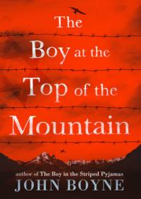 Book Cover for The Boy at the Top of the Mountain by John Boyne