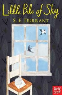 Book Cover for Little Bits of Sky by S. E. Durrant