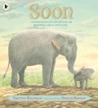 Book Cover for Soon by Timothy Knapman