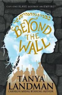 Book Cover for Beyond the Wall by Tanya Landman