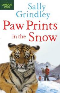 Book Cover for Paw Prints in the Snow by Sally Grindley