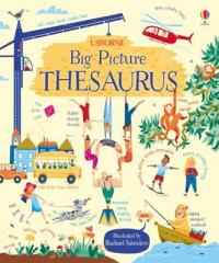 Book Cover for Big Picture Thesaurus by Rosie Hore