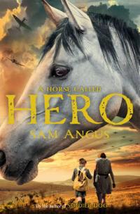 Book Cover for A Horse Called Hero by Sam Angus