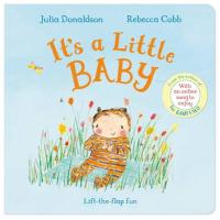 Book Cover for It's a Little Baby by Julia Donaldson