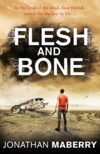 Book Cover for Flesh and Bone by Jonathan Maberry