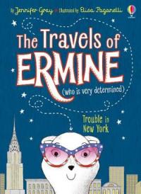 Book Cover for Trouble In New York by Jennifer Gray