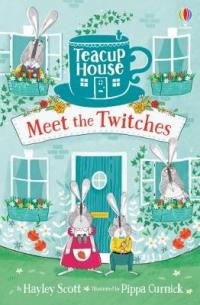 Book Cover for Meet the Twitches by Hayley Scott