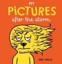 Book Cover for My Pictures After the Storm by 