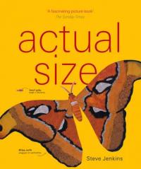 Book Cover for Actual Size by Steve Jenkins