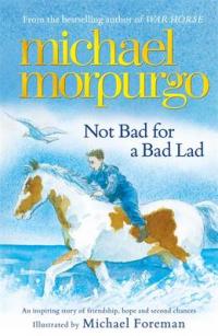 Book Cover for Not Bad for a Bad Lad by Michael Morpurgo