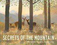 Book Cover for Secrets of the Mountain by Libby Walden