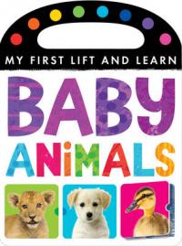 Book Cover for Baby Animals by Little Tiger Press