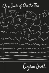 Book Cover for On a Scale of 1 to 10 by Ceylan Scott