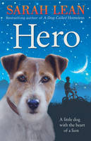 Book Cover for Hero by Sarah Lean