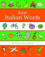 Book Cover for First Italian Words by 