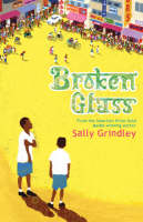 Book Cover for Broken Glass by Sally Grindley