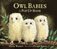 Book Cover for Owl Babies - Pop-Up by Martin Waddell