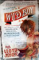 Book Cover for Wild Boy by Rob Lloyd Jones