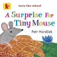 Book Cover for A Surprise for Tiny Mouse by Petr Horacek