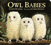 Book Cover for Owl Babies by Martin Waddell