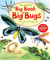 Book Cover for Big Book of Big Bugs by Emily Bone