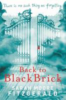 Book Cover for Back to Blackbrick by Sarah Moore Fitzgerald