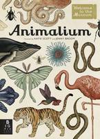Book Cover for Animalium by Jenny Broom