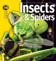 Book Cover for Insects and Spiders : Insiders Series by 