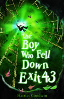 Book Cover for The Boy Who Fell Down Exit 43 by Harriet Goodwin